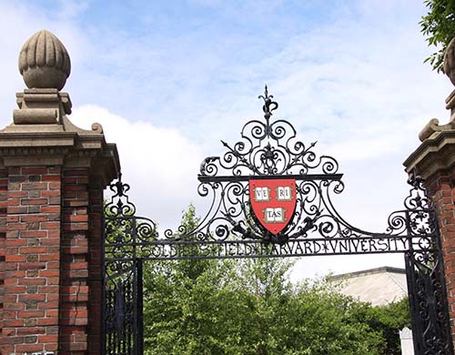 哈佛大学
