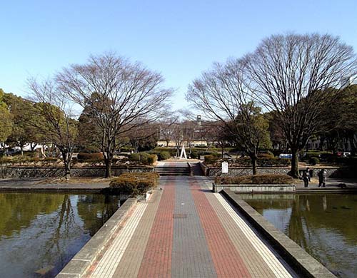 美国艺术留学