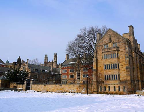 耶鲁大学
