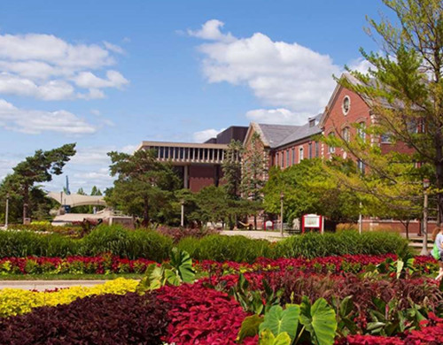 伊利诺伊理工大学