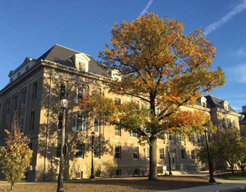 康奈尔大学