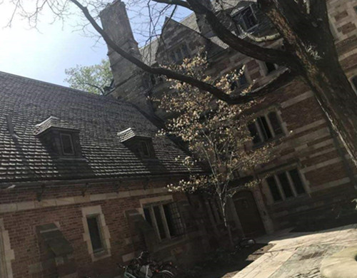 罗德岛设计学院