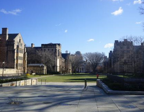 耶鲁大学