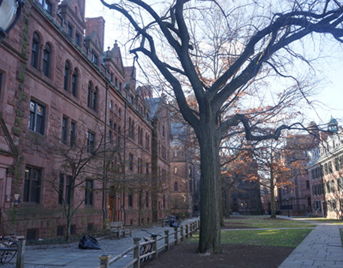 耶鲁大学