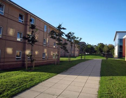 约克大学