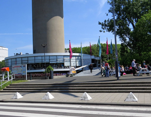 鹿特丹大学