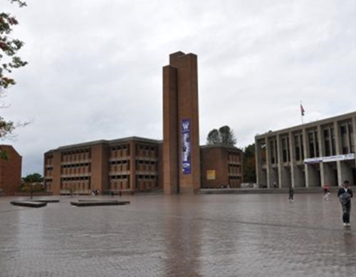 华盛顿大学