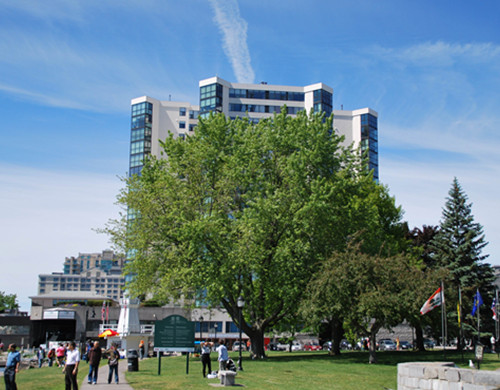 金斯顿大学