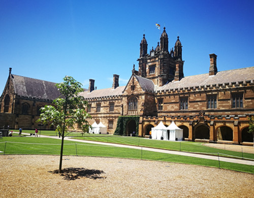 悉尼大学