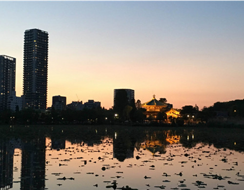 日本艺术留学