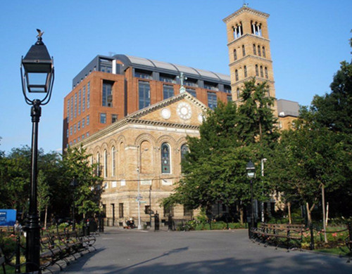 纽约大学