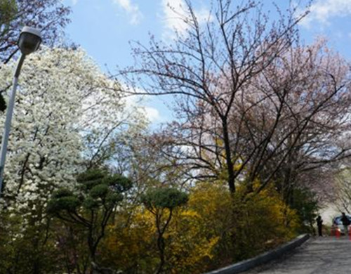 韩国艺术留学