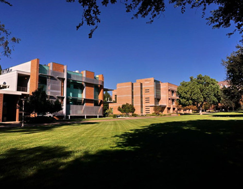 南加州大学