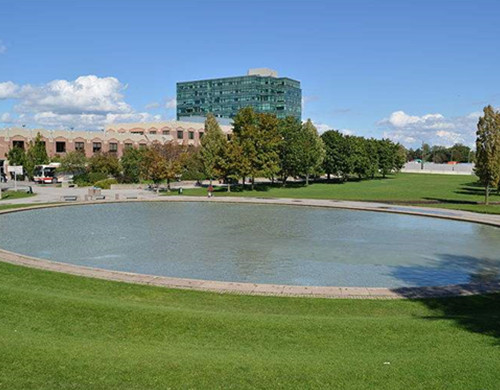约克大学