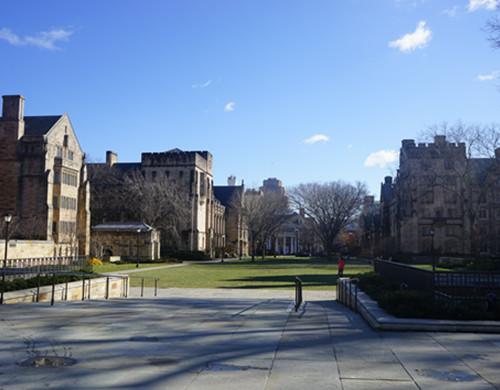 耶鲁大学